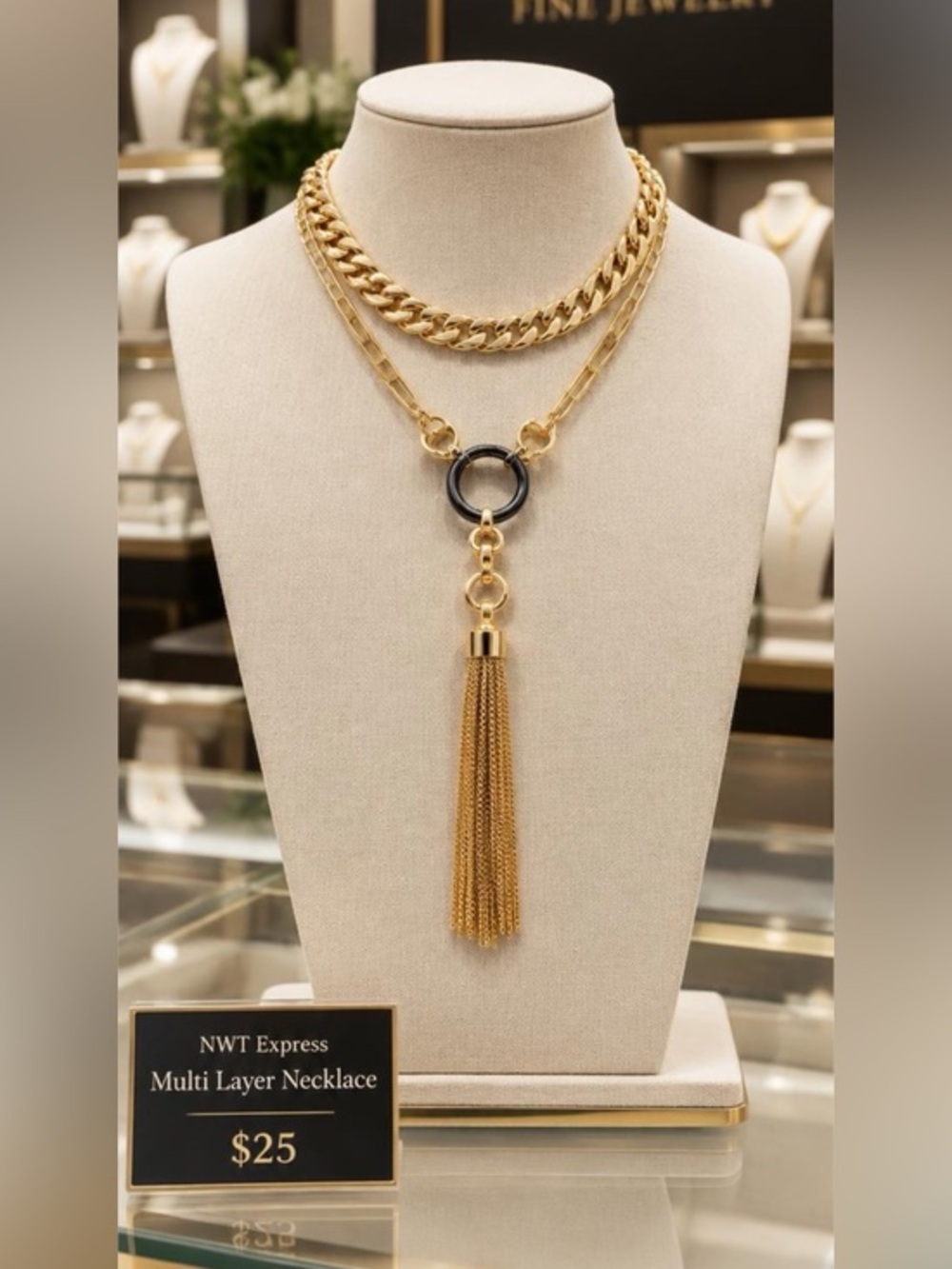 NWT Express Multi Layer Necklace